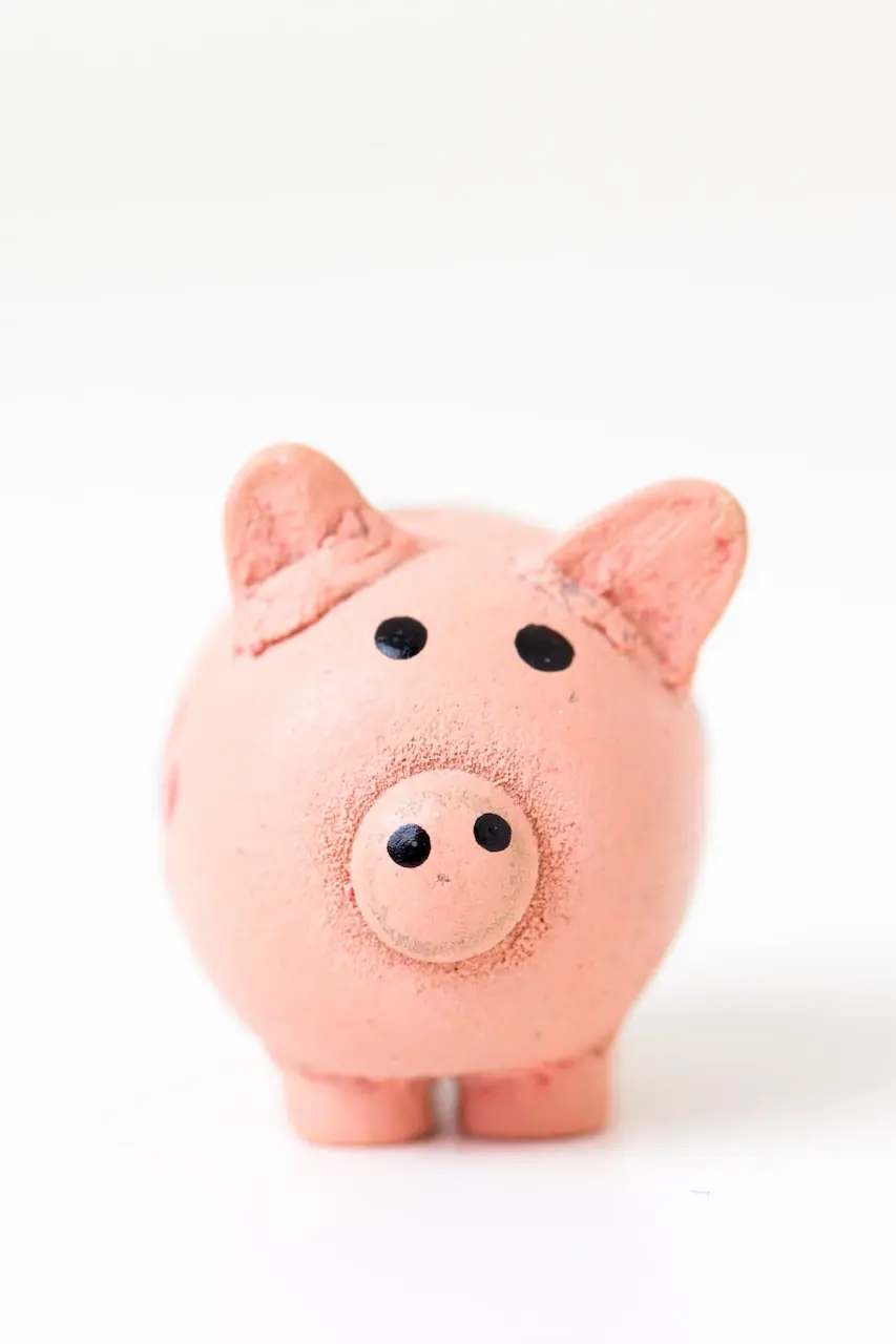 pink pig figurine on white surface